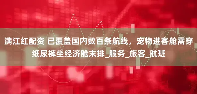 满江红配资 已覆盖国内数百条航线，宠物进客舱需穿纸尿裤坐经济舱末排_服务_旅客_航班