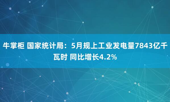 牛掌柜 国家统计局：5月规上工业发电量7843亿千瓦时 同比增长4.2%